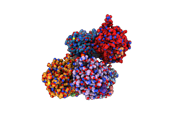 3E8E image