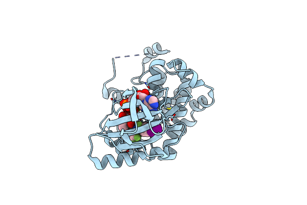 3E8N image