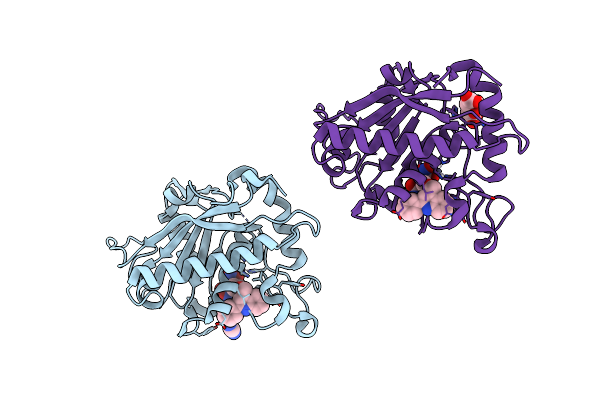 3E8R image