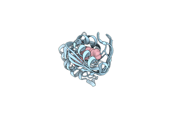 3E8T image