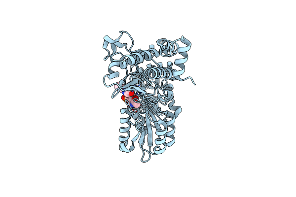 3E9K image