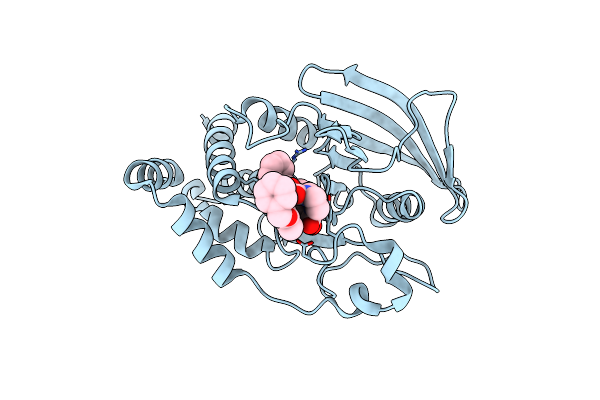 3EAX image