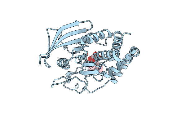 3EB1 image