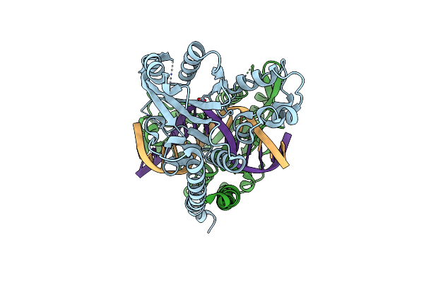 3EBC image