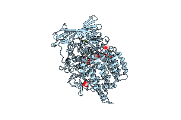 3EBG image