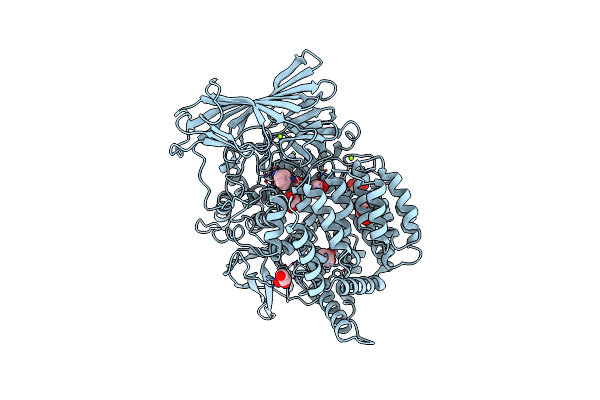 3EBH image