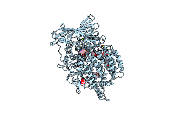 3EBI image