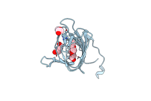 3EBR image