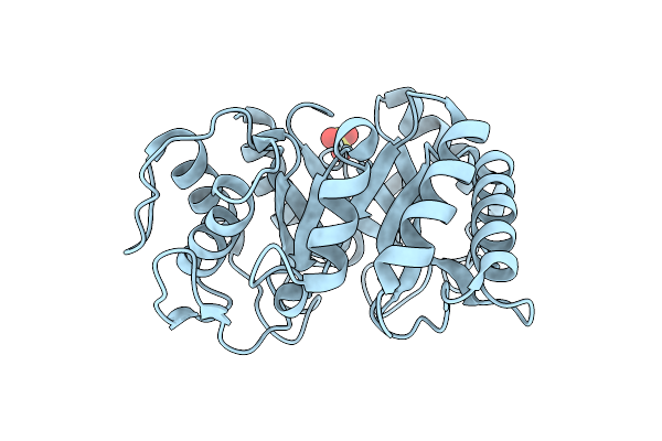 3EBV image