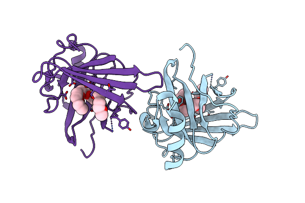3EBW image