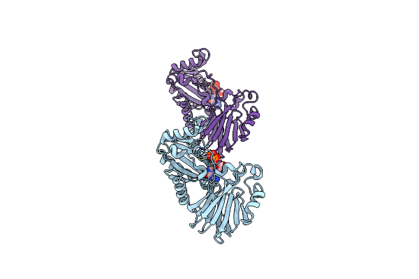 3EC1 image