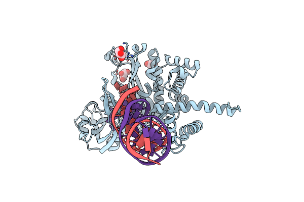 3ECP image