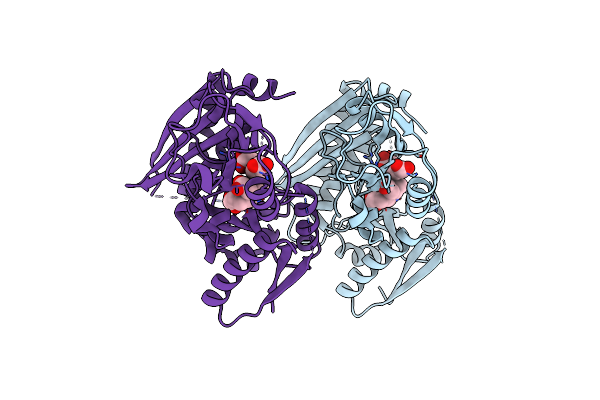 3ECR image