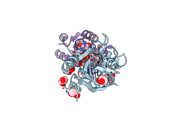 3EDO image