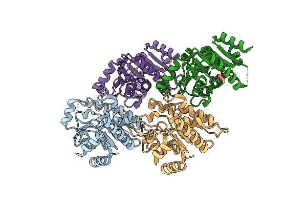 3EFB image