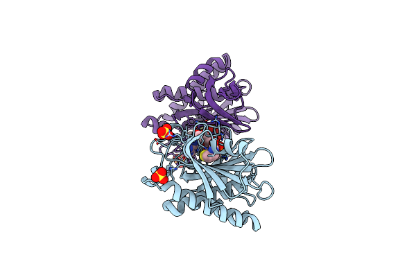 3EFS image