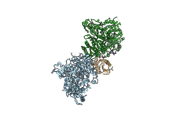 3EGD image
