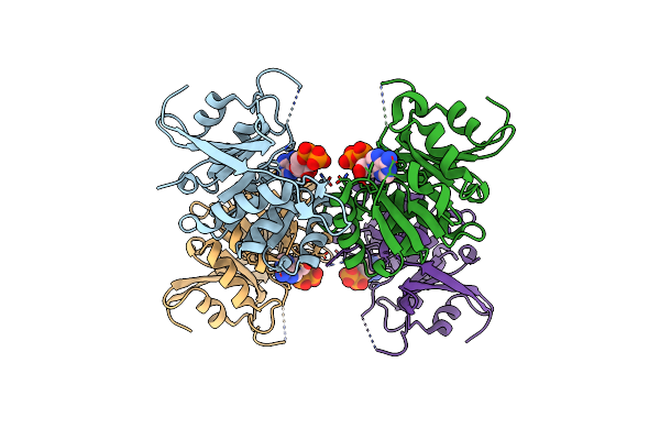 3EGI image