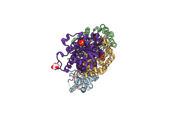 3EIS image