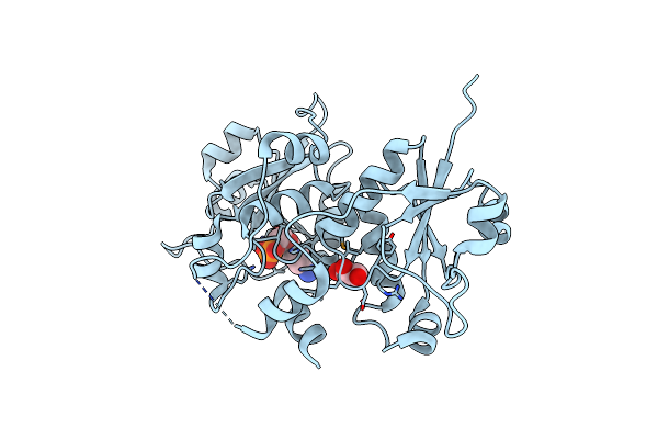3ELB image