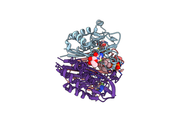 3ELC image