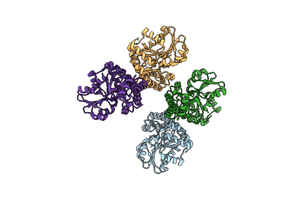 3ELP image