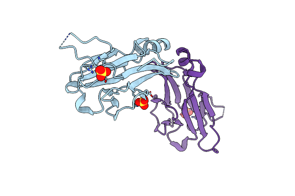 3ELV image