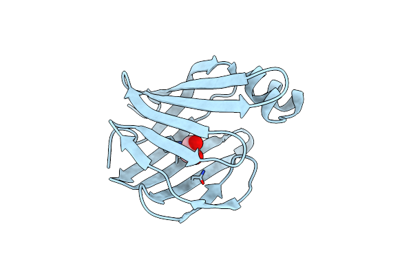 3ELX image