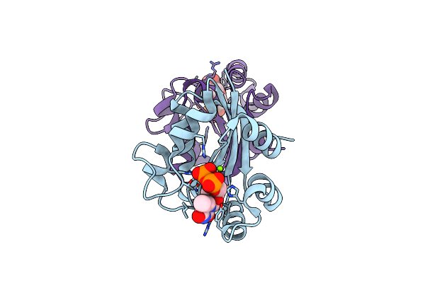 3EM1 image