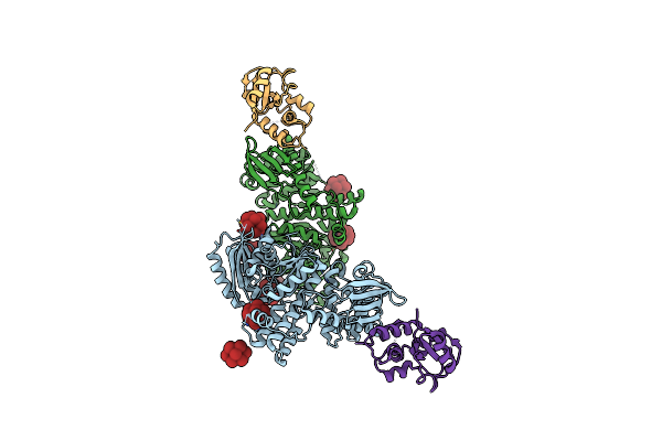3ENH image