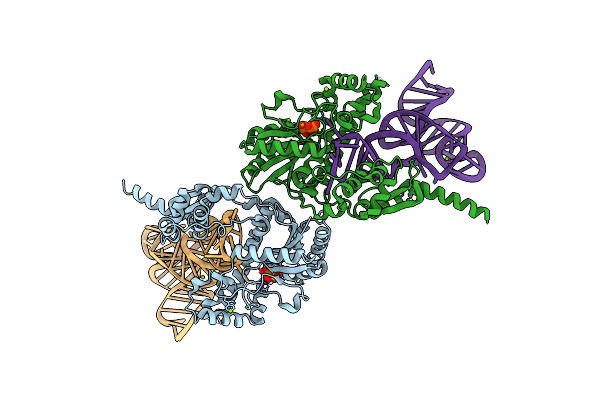 3EPH image
