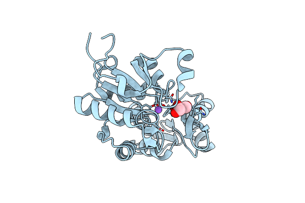 3EPR image