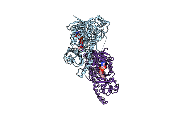 3EPT image