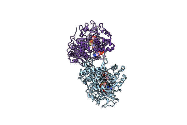 3EQ6 image