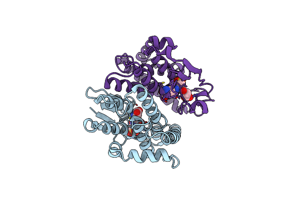 3ERG image