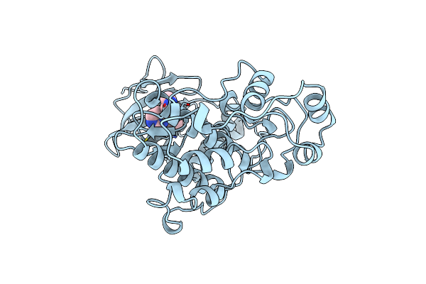 3ERK image