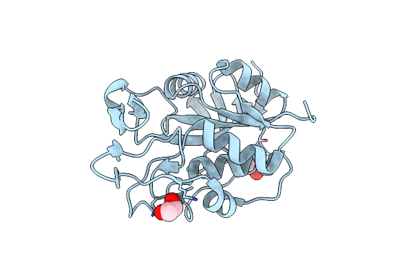 3ERV image