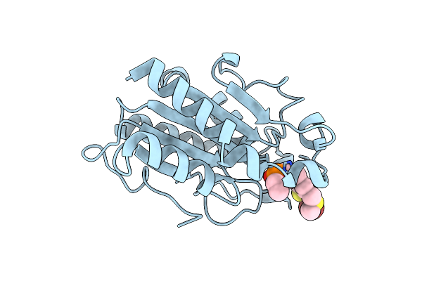 3ESC image
