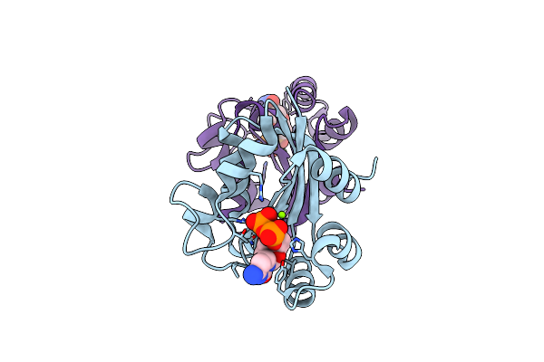3EVM image