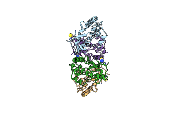 3EVX image