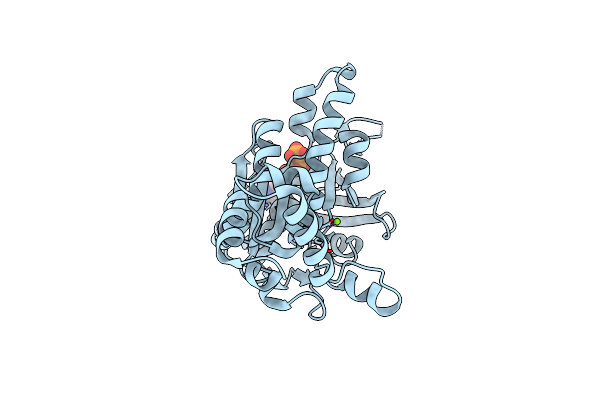 3EWA image