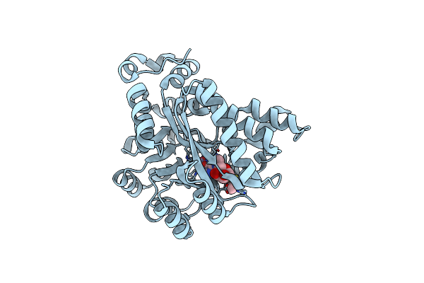 3EWC image