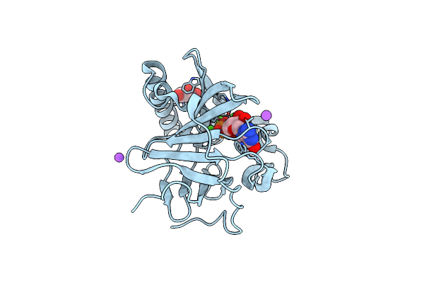 3EXM image