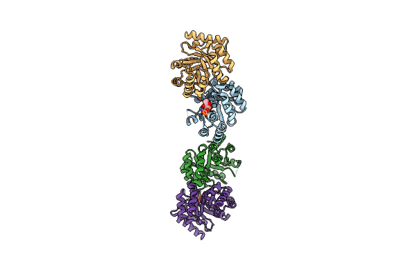 3EXS image