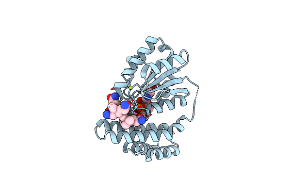 3EZX image
