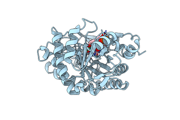 3F03 image