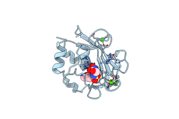 3F16 image