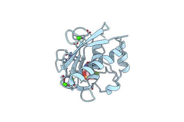 3F19 image