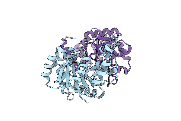 3F1C image