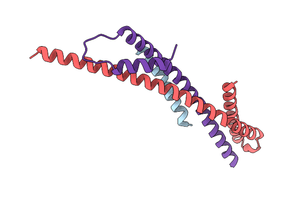 3F1I image